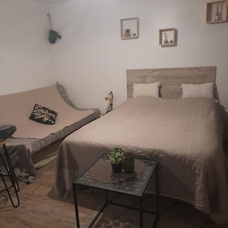 Studio Cosy Proche Centre Mpl/ Pk Gratuit モンペリエ エクステリア 写真